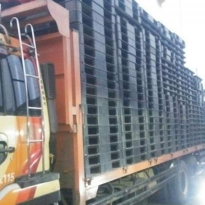 Palet Plastik Berkualitas1d1