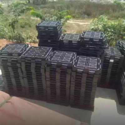 Palet Plastik Berkualitas1e9y11